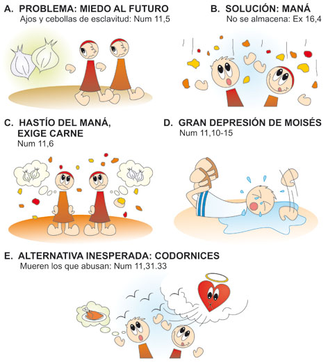 Codornices